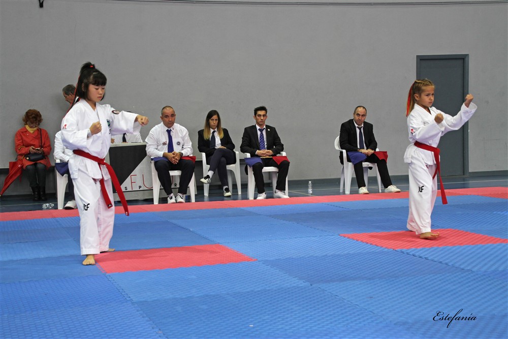 Copa Seul 2018 (424).jpg